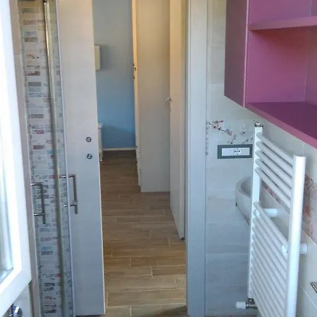 Domus
